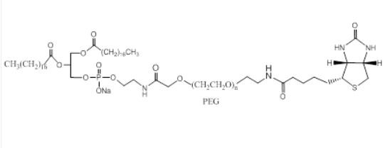 DSPE-PEG-Biotin