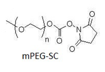 mPEG-SC