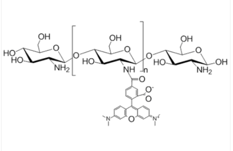 Chitosan Rhodamine