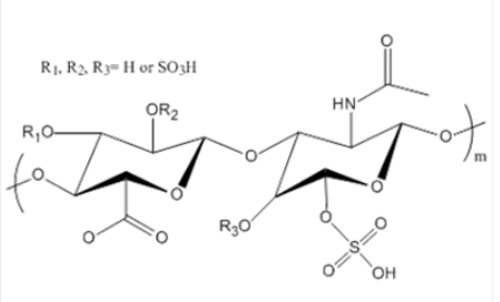 Chondroitin Sulfate