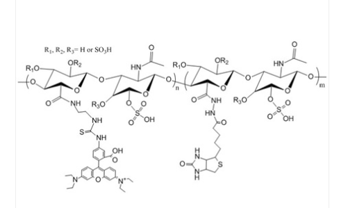 Biotin-Chondroitin Sulfate-FITC