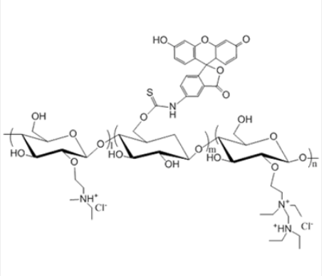 DEAE-Dextran-FITC