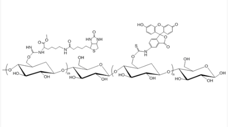 Biotin-Dextran-FITC