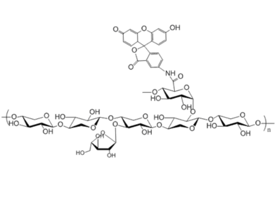 Xylan-FITC