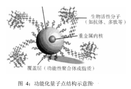 马来酰亚胺MAL功能化PbS量子点