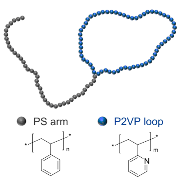 PS-P2VP-tadpole