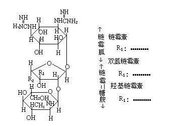 海藻酸钠-链霉亲和素