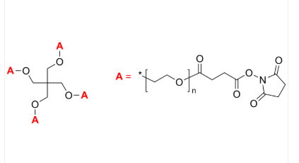 6-Arm PEG-NH2