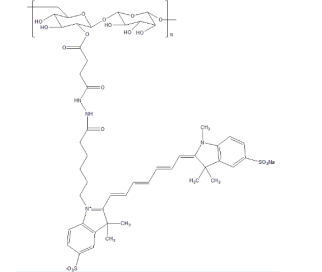 CY7-Dextran