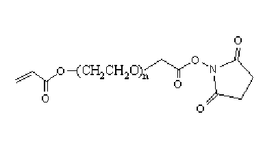 AC-PEG-SCM