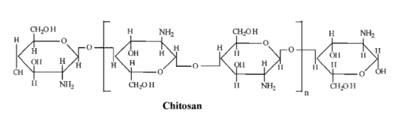 壳聚糖-凝集素