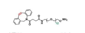 DBCO-PEG12-O-NH2