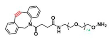 DBCO-PEG24-O-NH2