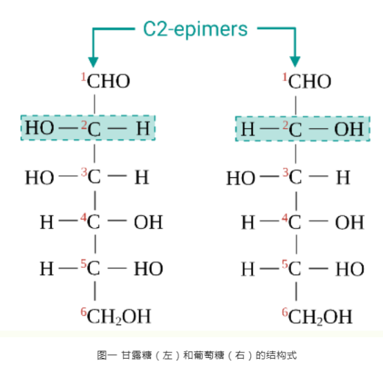 甘露糖偶联香豆素