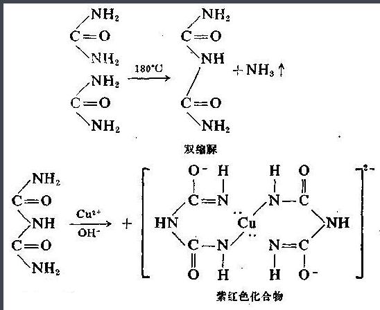 卵清蛋白偶联甘露糖