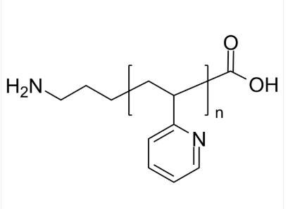 P2VP-NH2-COOH