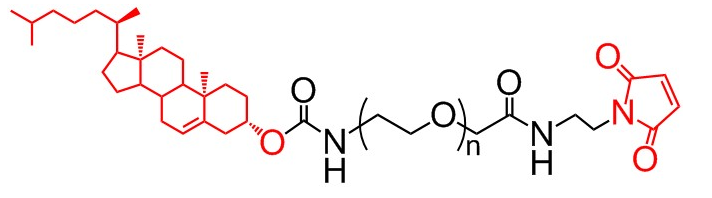 CLS-PEG-MAL