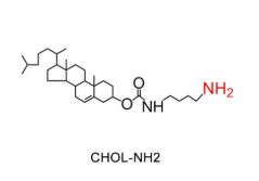 CLS-NH2 