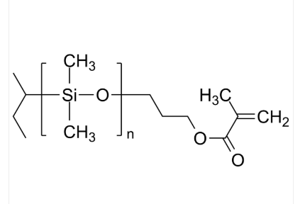 PDMS-MA