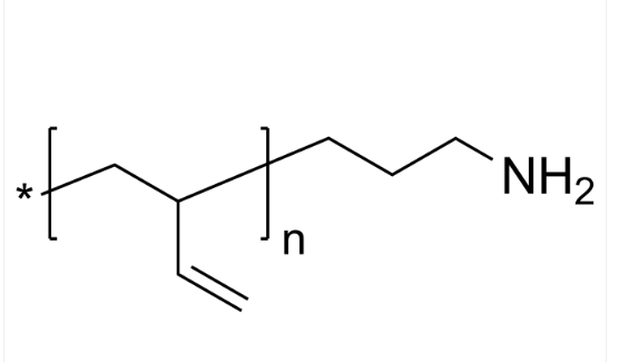 PBd-NH2