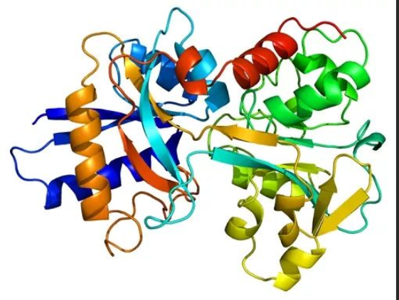 Transferrin  