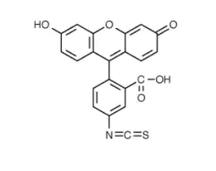 荧光素-5-异硫氰酸酯