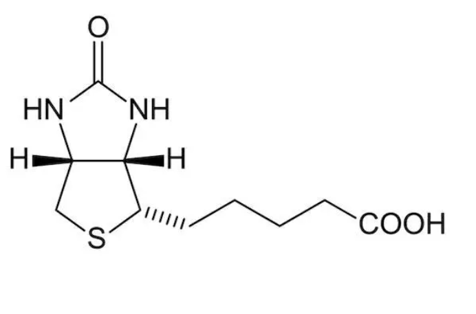 生物素（Biotin）