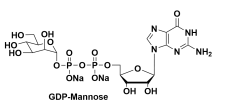 GDP-D-甘露糖 UDP-D-甘露糖二钠盐 GDP-α-D-MANNOSE