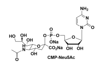 3063-71-6 ，CMP-N-acetylneuraminic acid，CMP-Neu5Ac