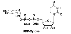 Uridine diphosphoxylose UDP木糖 UDP-D-木糖 尿苷二磷酸木糖 