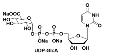 UDP-D-GLUCURONIDE TRISODIUM SALT UDP-葡萄醛酸三钠盐 UDP-葡萄糖醛酸三钠盐