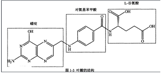 岩藻多糖-叶酸