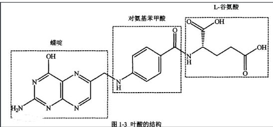 香菇多糖-叶酸