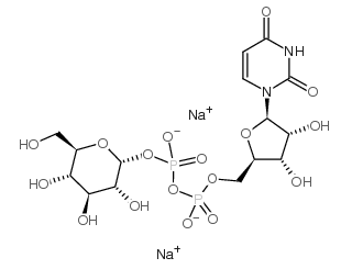 UDP-葡萄糖，二磷酸尿苷葡糖，UDP-GLC, 2NA，UDP-GLC, DISODIUM SALT