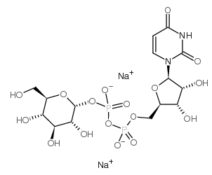 UDP-葡萄糖；尿嘧啶二磷酸葡萄糖；UDP-GLC, NA2；UDP-GLUCOSE DISODIUM SALT