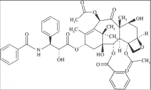 香菇多糖-聚乙二醇-紫杉醇