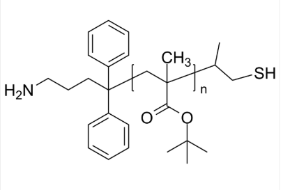 NH2-PtBuMA-SH