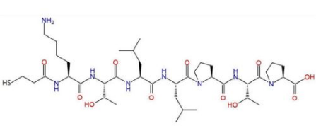 PTP-SH (KTLLPTP)