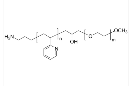 NH2-P2VP-OH-PEG-OCH3