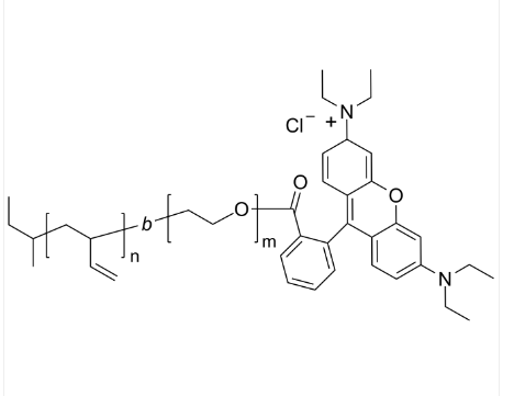 PBd-PEO-Rhodamine