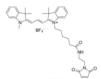 磺基-CY3-马来酰亚胺