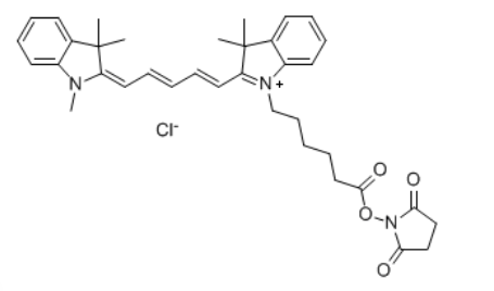 CY5-NHS ester