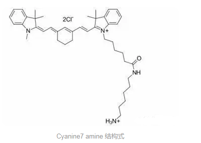CY7-氨基