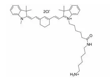 磺基-CY7 氨基