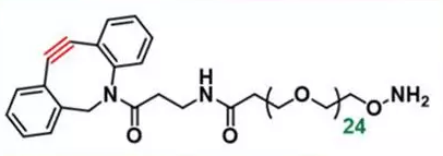 DBCO-PEG24-O-amine  