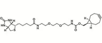 endo-BCN-PEG2-Biotin  