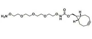 exo BCN-PEG4-O-NH2
