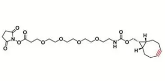 endo BCN-四聚乙二醇-NHS 酯  