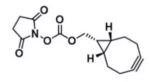 endo-BCN-NHS ester  