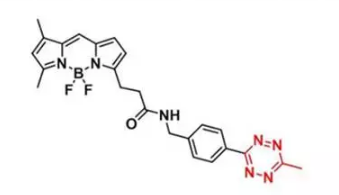  BDP FL methyltetrazine    